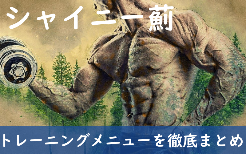 マッスルグリル・シャイニー薊】肩トレと腕トレのセット数とレップ数まとめ